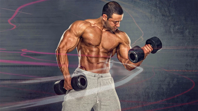 Top-Steroidanbieter für Bodybuilder: Die besten Quellen für Muskelaufbaupräparate